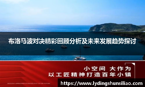 布洛马波对决精彩回顾分析及未来发展趋势探讨